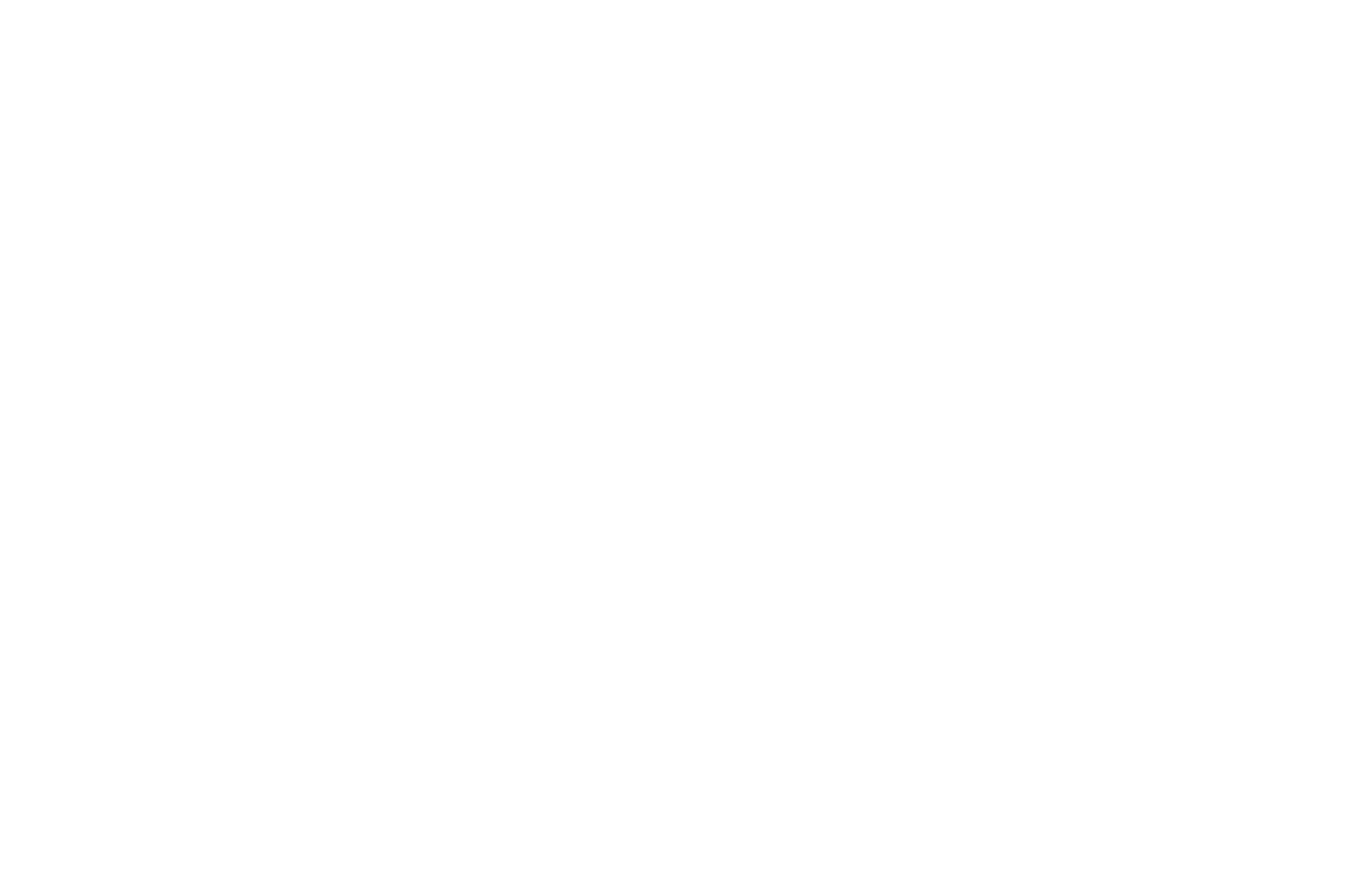 Valkoinen JENNI PITKO -logo